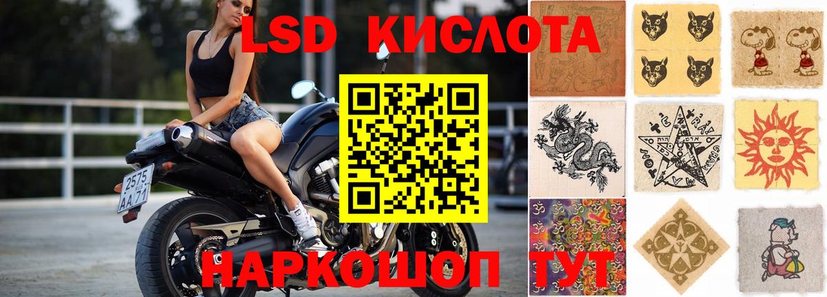 hydra сайт  Вход с VPN  Ноябрьск  LSD-25 экстази кислота  LSD-25 экстази кислота 
