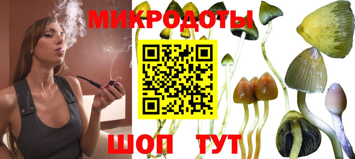 Псилоцибиновые грибы мицелий Ноябрьск