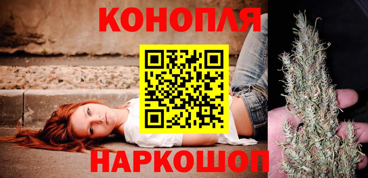 Каннабис план Ноябрьск